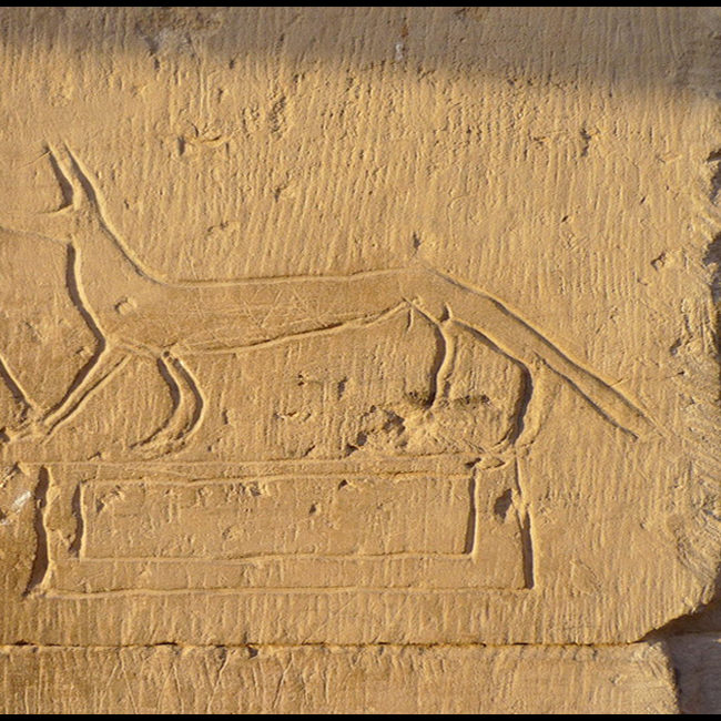 WEB AGENCY, Creazione Siti Web e-commerce SEO & Web Marketing