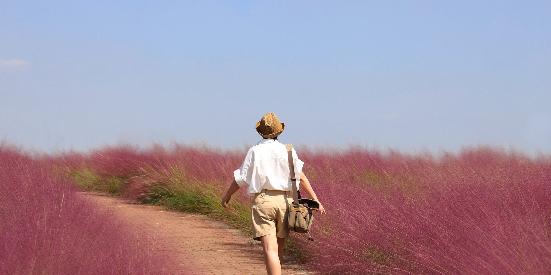 e-motivecommunication Web Agency - Portfolio