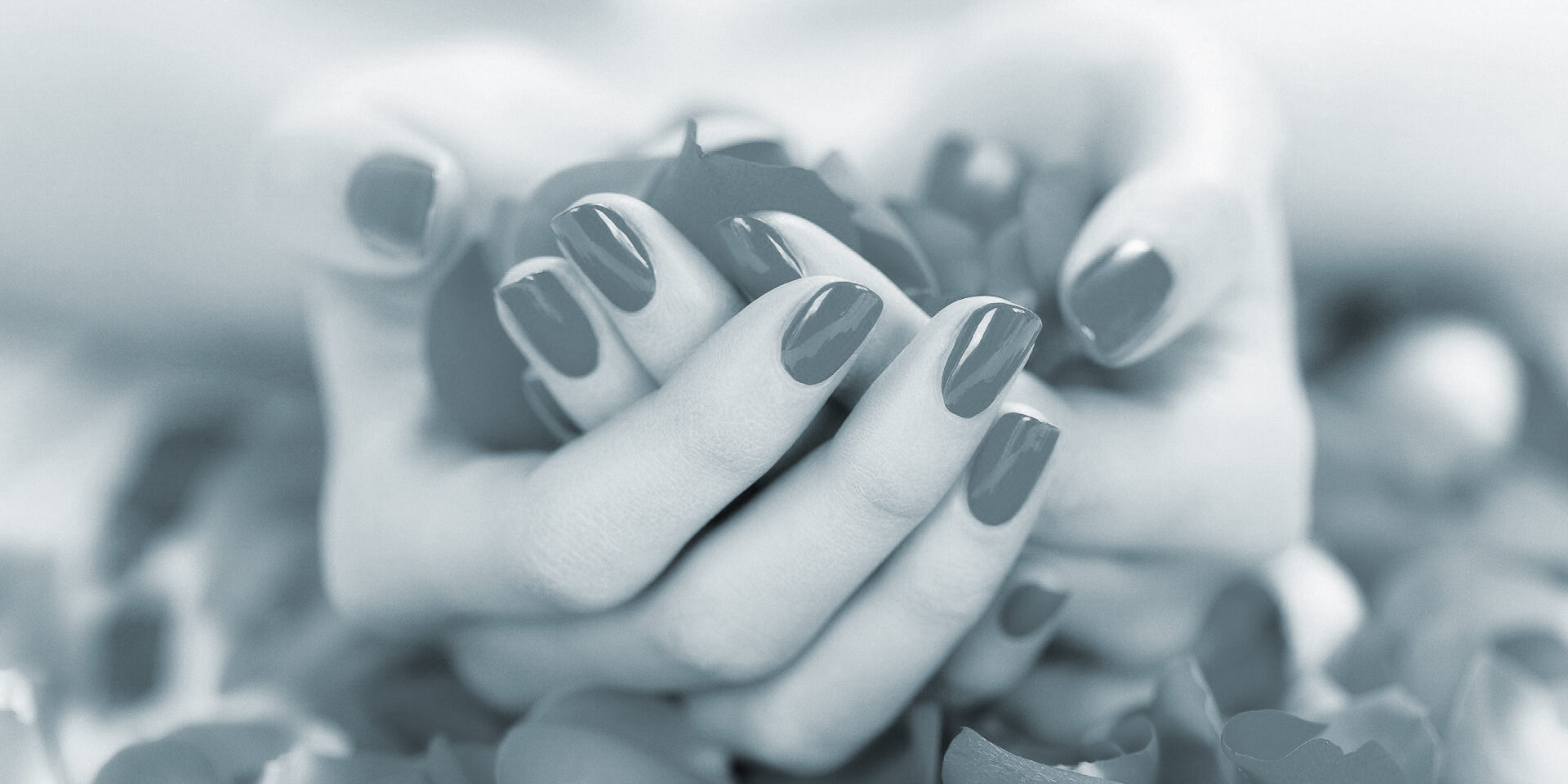 e-motivecommunication Web Agency - Portfolio