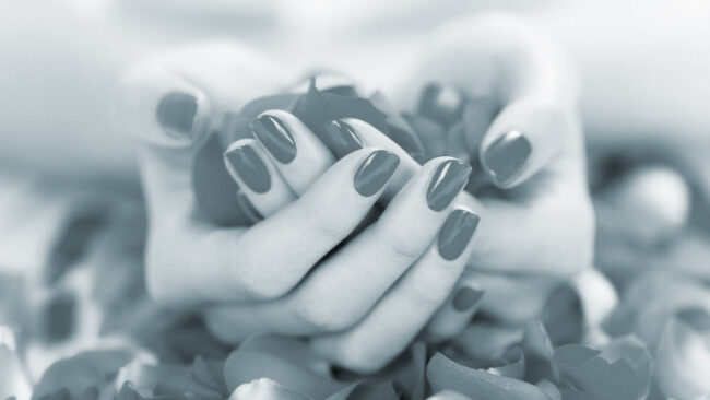 e-motivecommunication Web Agency - Portfolio